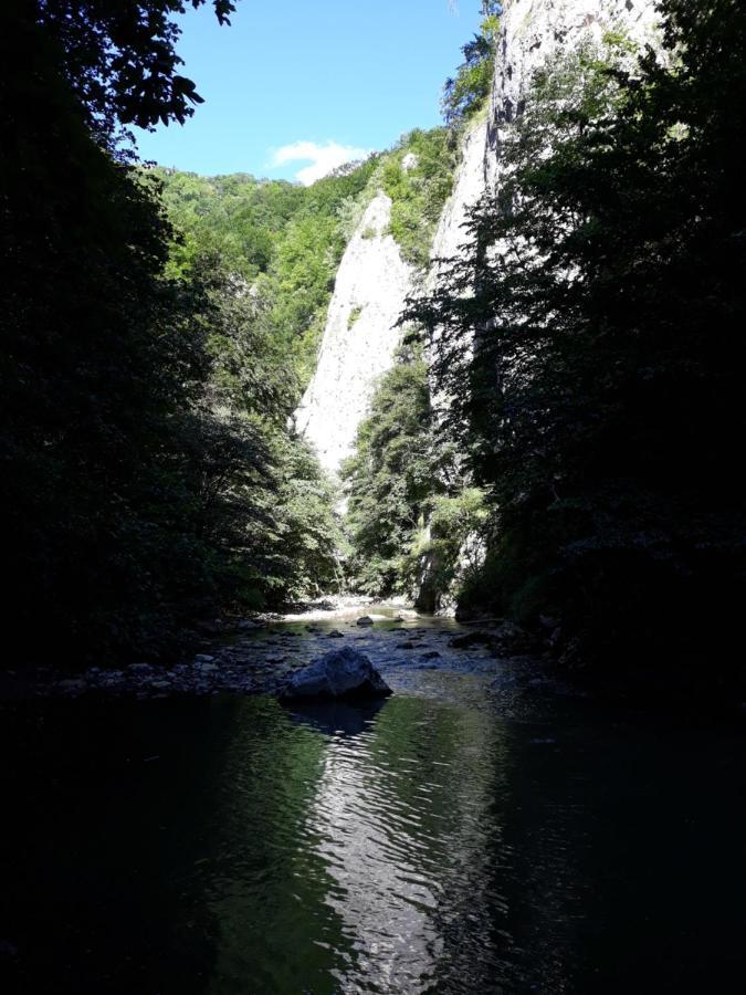 Timi Kulcsoshaz Hotell Lăzarea Exteriör bild