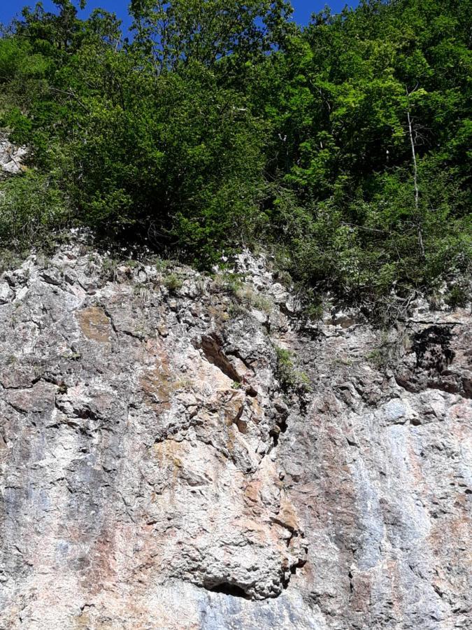 Timi Kulcsoshaz Hotell Lăzarea Exteriör bild
