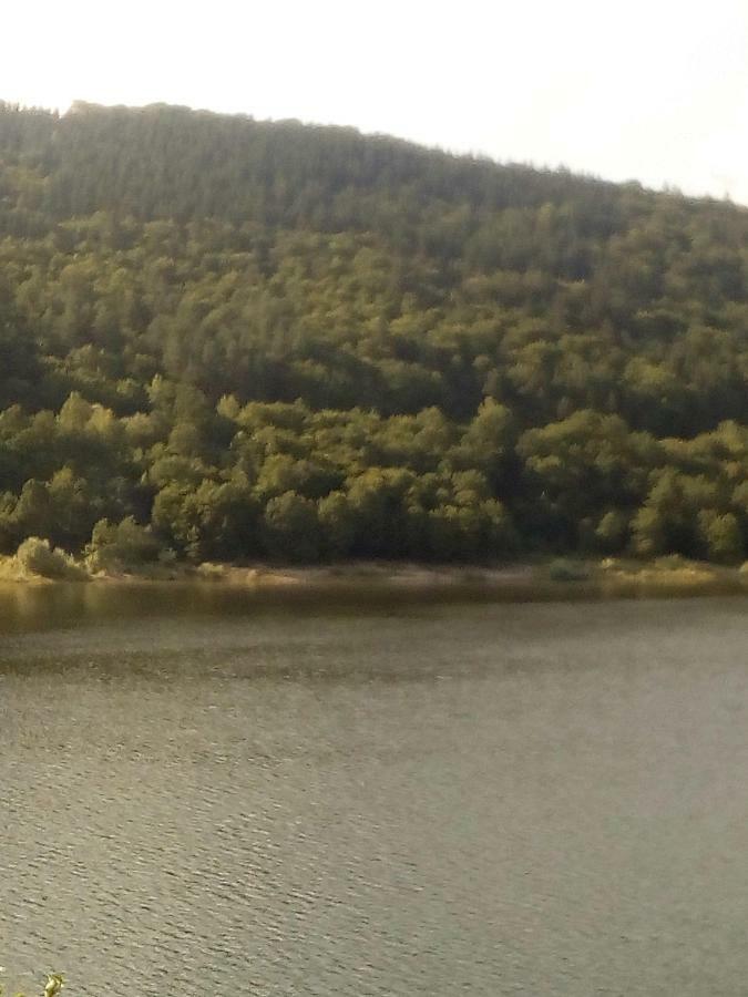 Timi Kulcsoshaz Hotell Lăzarea Exteriör bild
